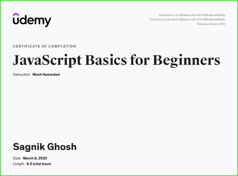 JavaScript Basics